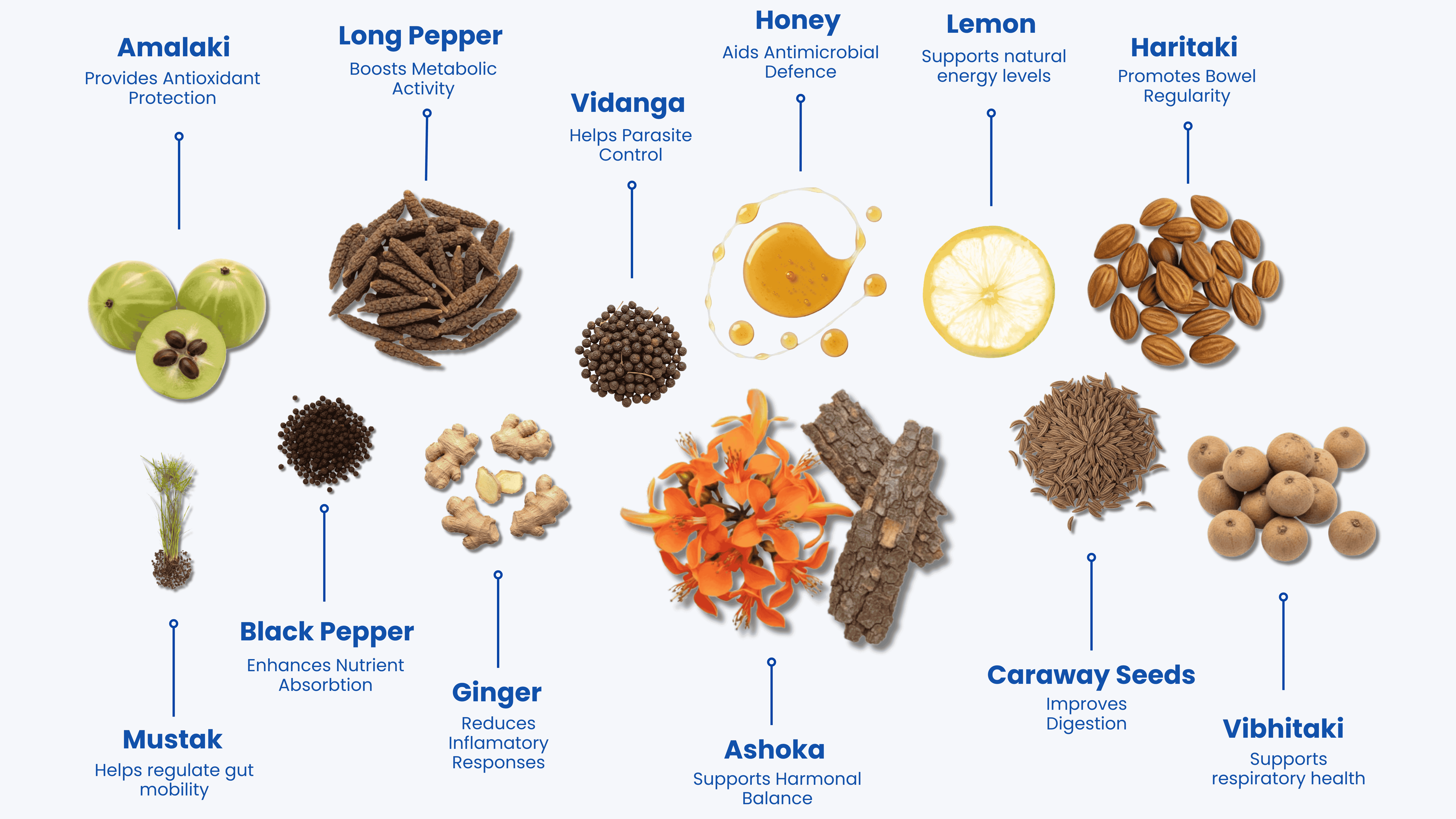 Ingredients Diagram